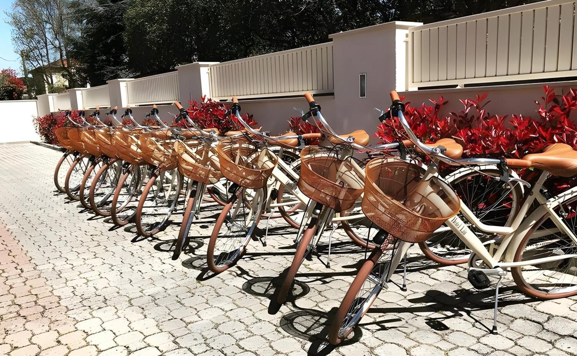 Liu Hotel Lido di Camaiore